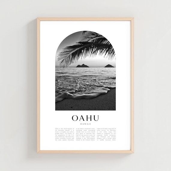 Oahu Hawaii Beach Palm Frond Sunset Ocean Black and White Poster