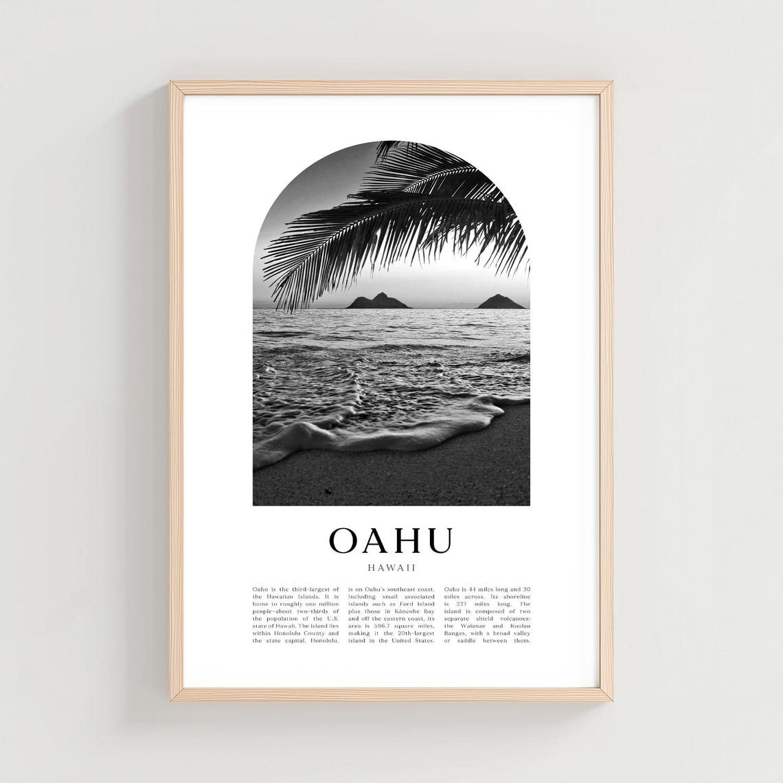 Oahu Hawaii Beach Palm Frond Sunset Ocean Black and White Poster