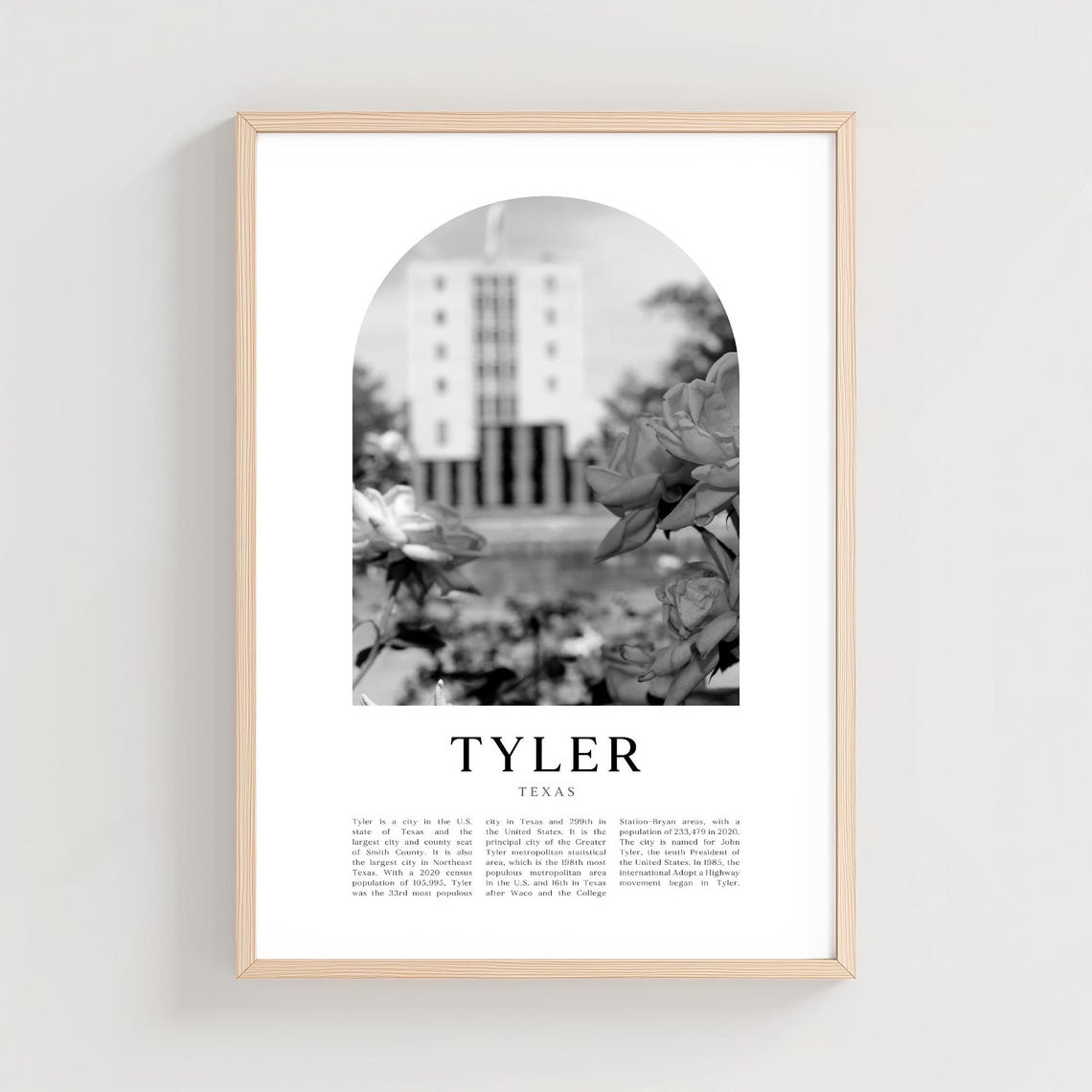 Tyler Texas Black and White Blooming Roses Arch Photo Poster