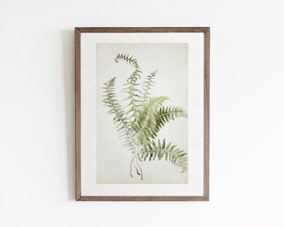 Fern Botanical Print, Vintage Watercolor Boho Art Print