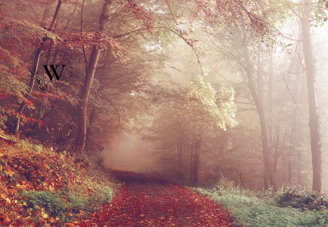 Autumn Forest Path Red Leaves Misty Fall Trail Woodland Photo Poster - Image 3