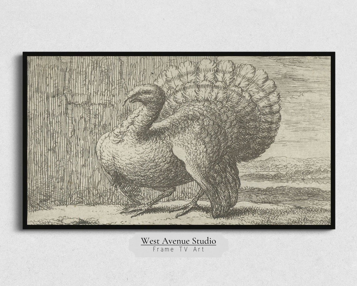 Vintage Turkey Engraving Thanksgiving Sketch Farm Bird Artwork Poster - Image 5