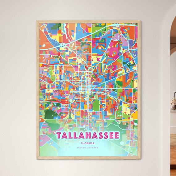 Tallahassee Florida Crazy Colorful Mosaic City Map Art Poster