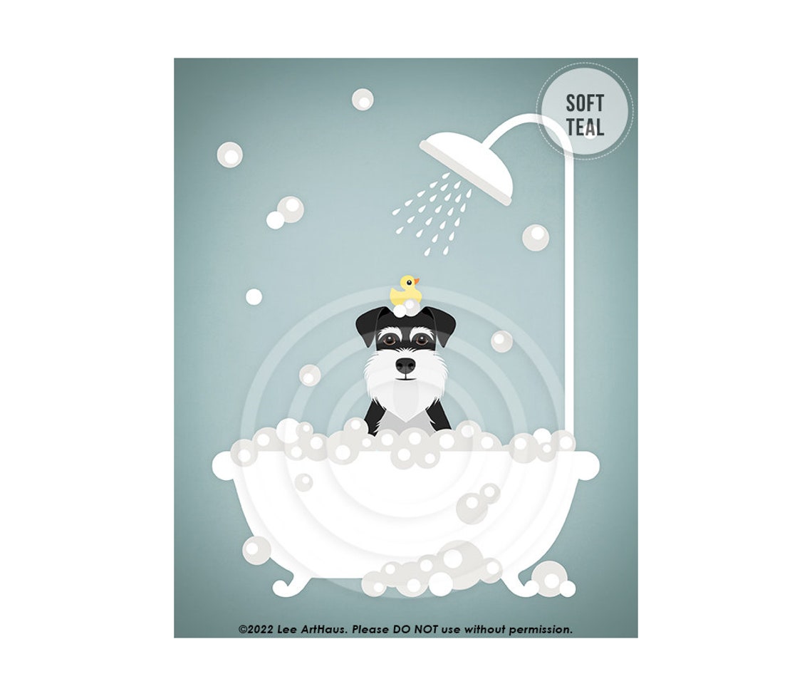 Black And Silver Schnauzer In Shower Bath With Rubber Duck Poster - Image 4