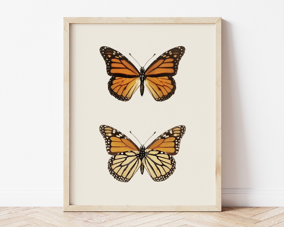 Monarch Butterfly Pair Vintage Naturalist Illustration Poster - Image 3