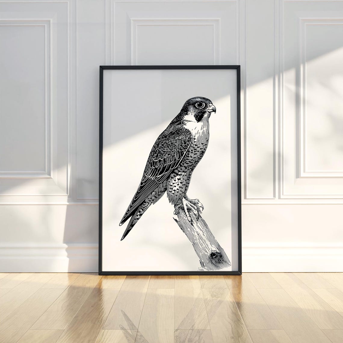 Falcon Perched Branch Black White Engraving Style Bird Poster