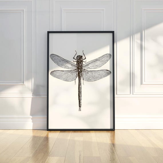Dragonfly Insect Line Art Pencil Sketch Animal Illustration Draw Trendy Poster Wall Print Modern Home Decor