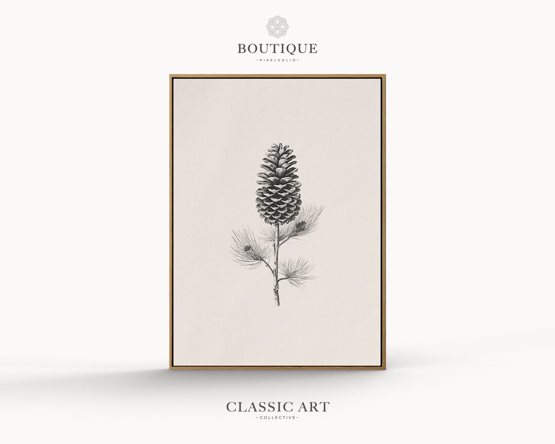 Pine Cone Branch Botanical Sketch Minimalist Black And White Art Poster