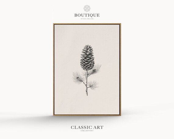 Pine Cone Branch Botanical Sketch Minimalist Black And White Art Poster