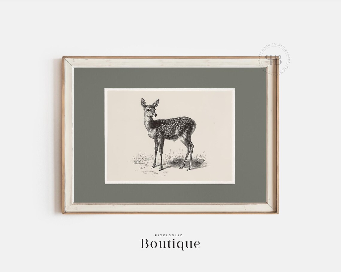 Baby White-Tailed Deer Fawn Sketch Vintage Wildlife Drawing Wall Art