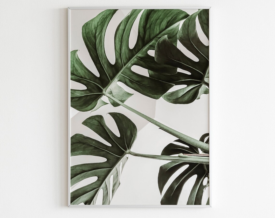 Monstera Leaves Minimalist Green Botanical Photography Poster
