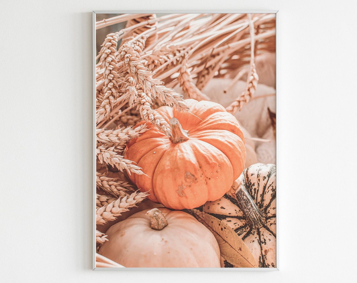 Orange Pumpkin With Wheat Stalks Rustic Autumn Harvest Wall Print
