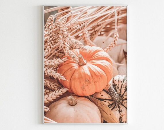 Orange Pumpkin With Wheat Stalks Rustic Autumn Harvest Wall Print