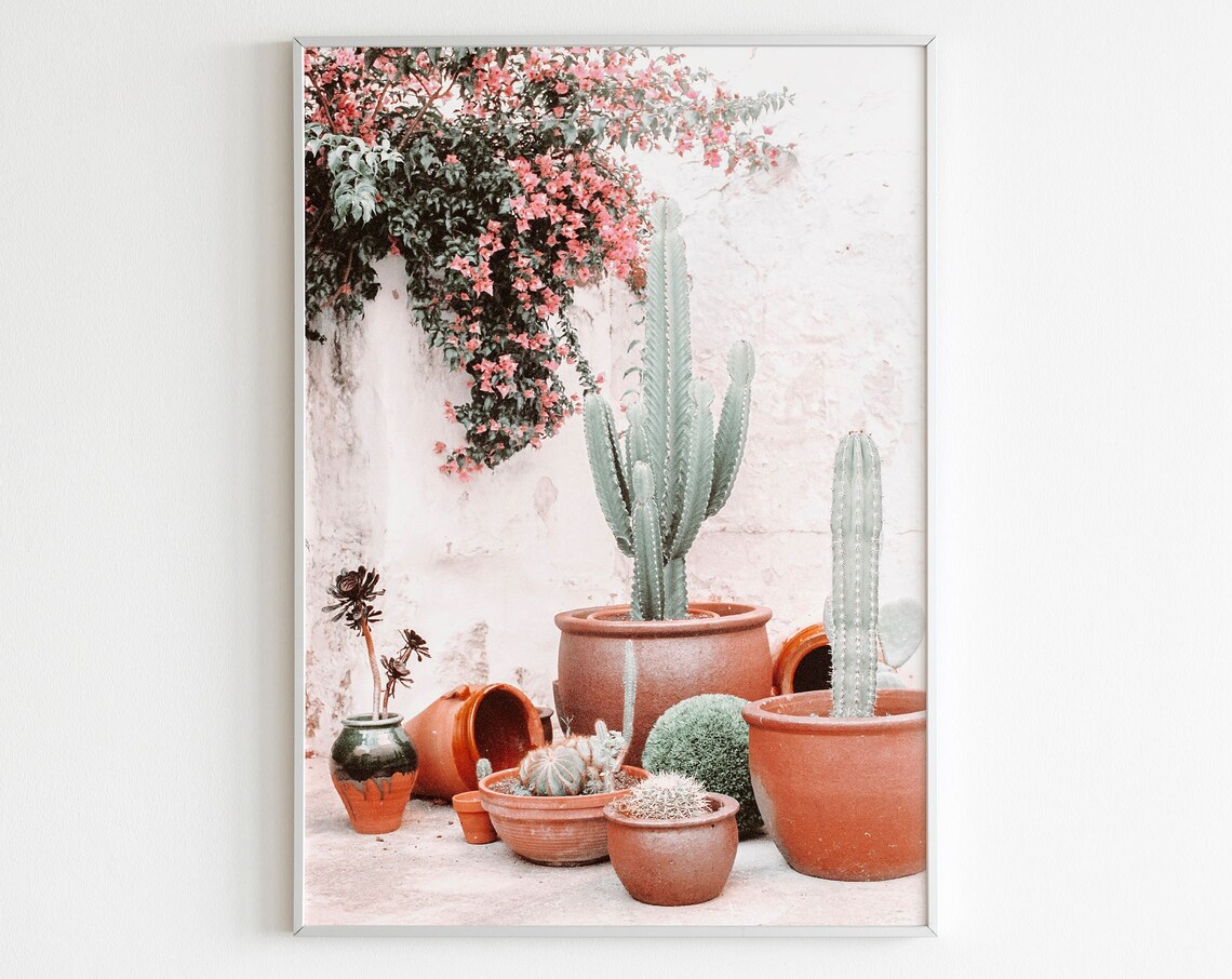 Terracotta Cacti Pots with Pink Bougainvillea Photography Poster