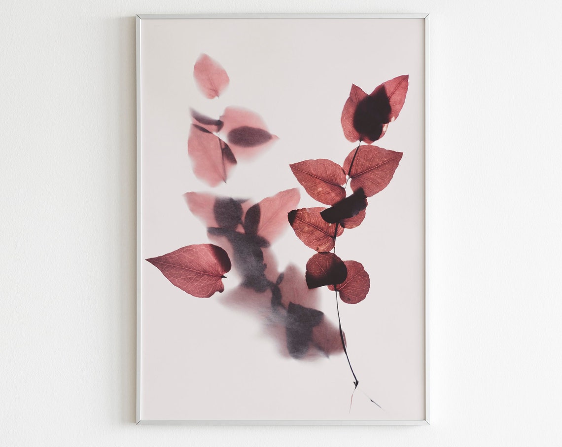 Dried Red Autumn Leaves Soft Shadow Minimal Botanical Wall Print