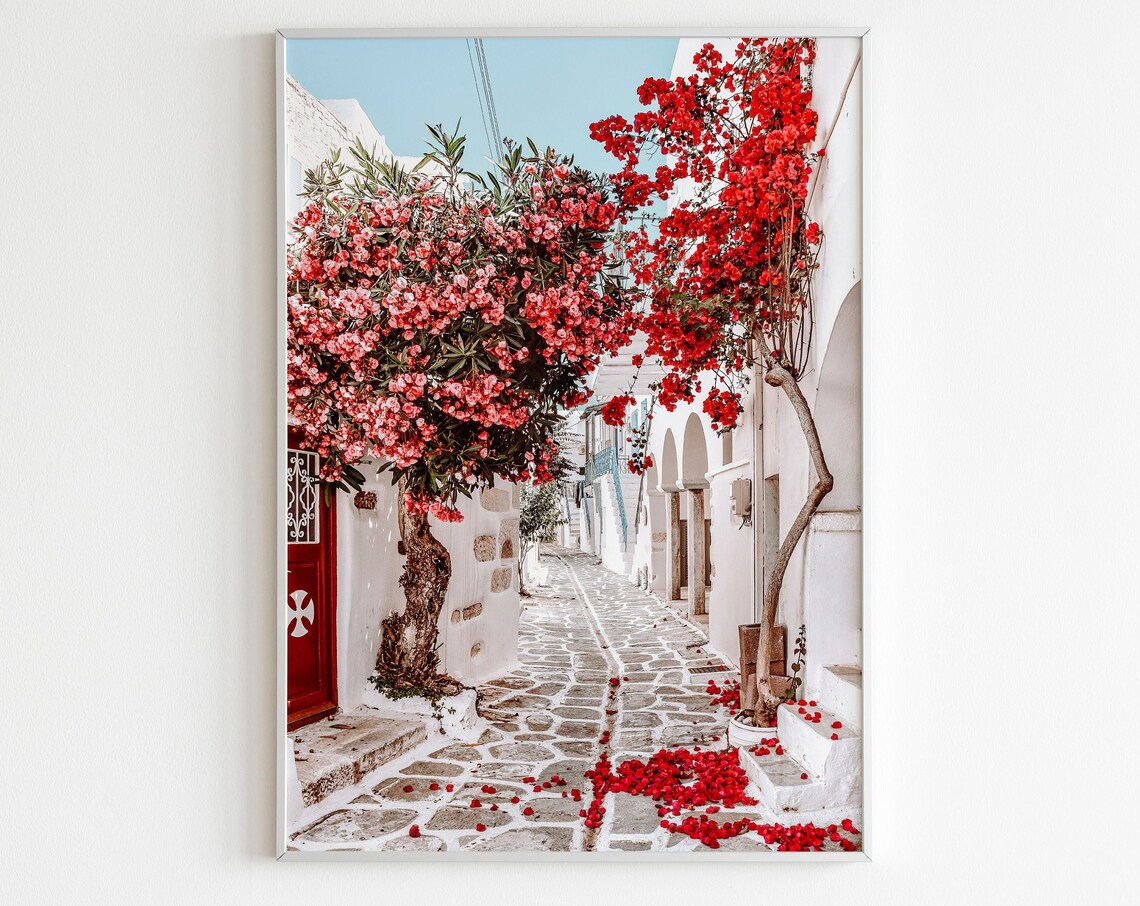 Paros Greek Street With Red Bougainvillea Bloom Floral Wall Art