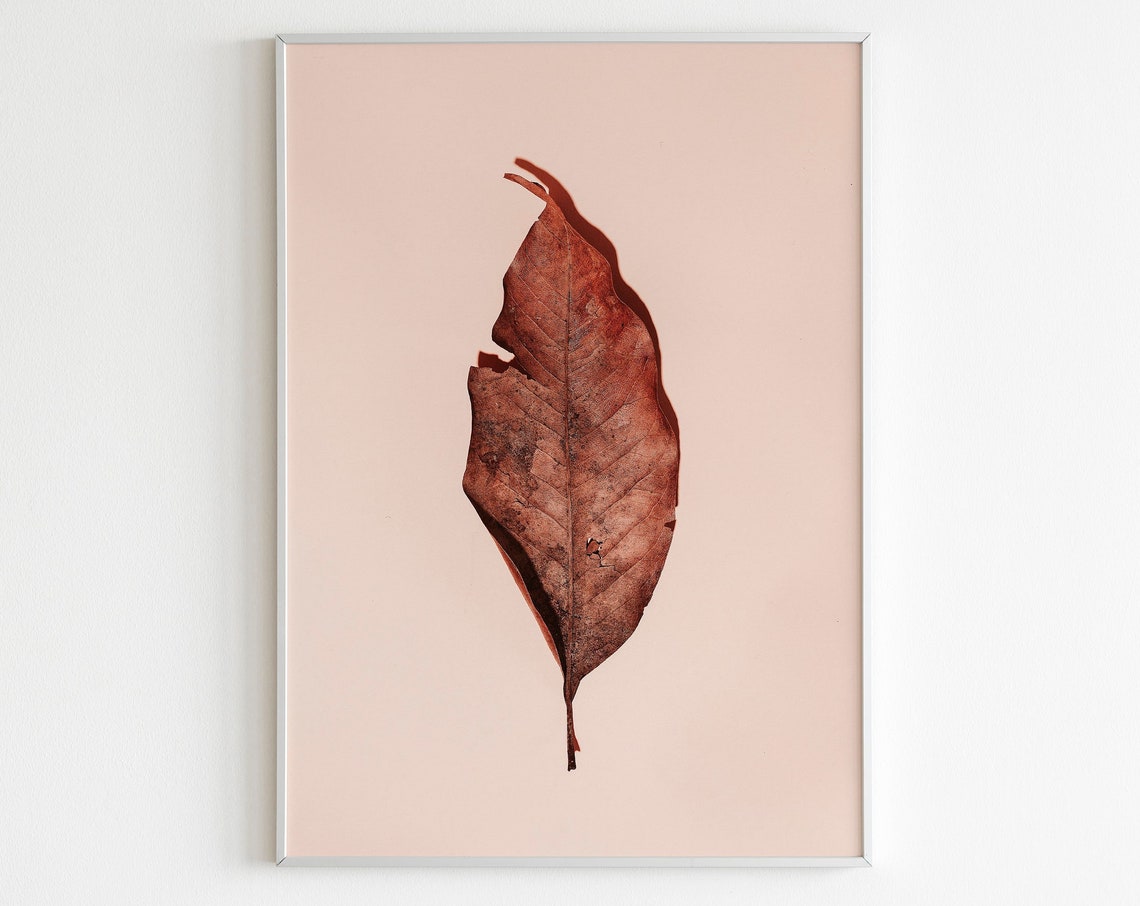 Single Dried Brown Leaf On Blush Pink Minimal Botanical Wall Print