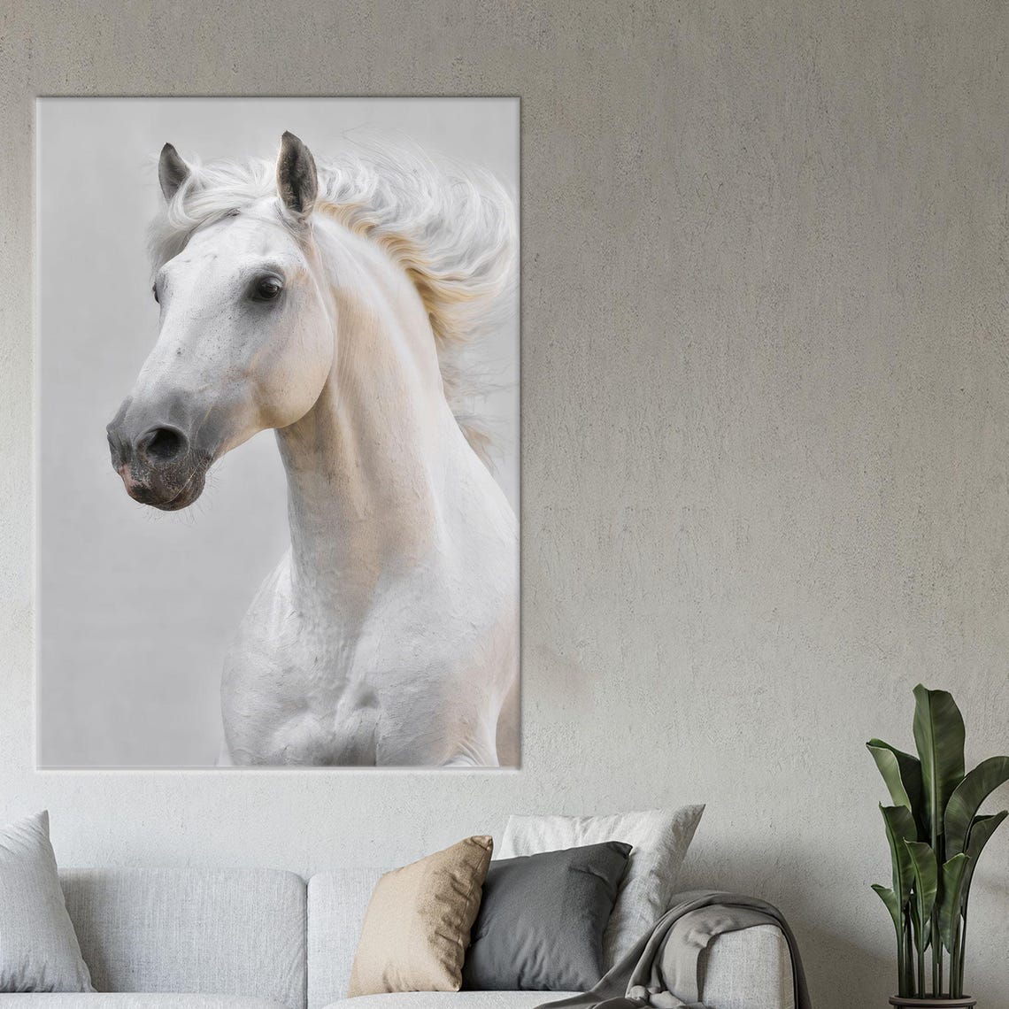 Graceful White Horse Portrait On Soft Gray Minimalist Poster