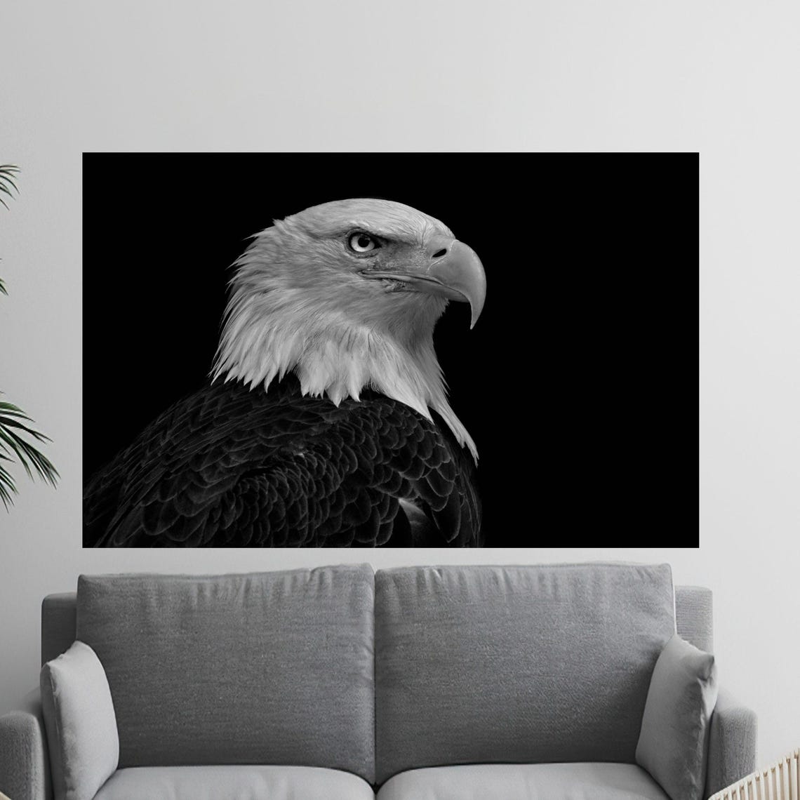 Bald Eagle Side Profile Portrait Black Background Wildlife Poster