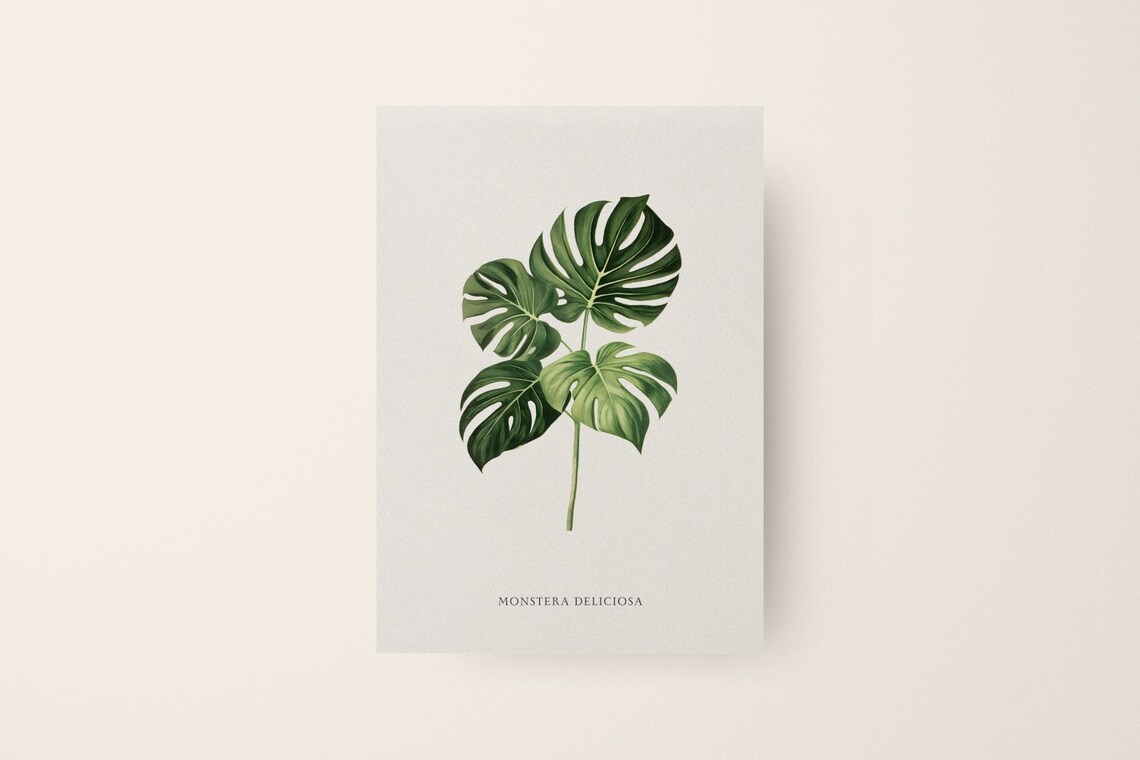 Monstera Print, Botanical Art Print for Living Room