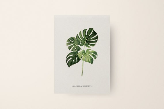 Monstera Print, Botanical Art Print for Living Room