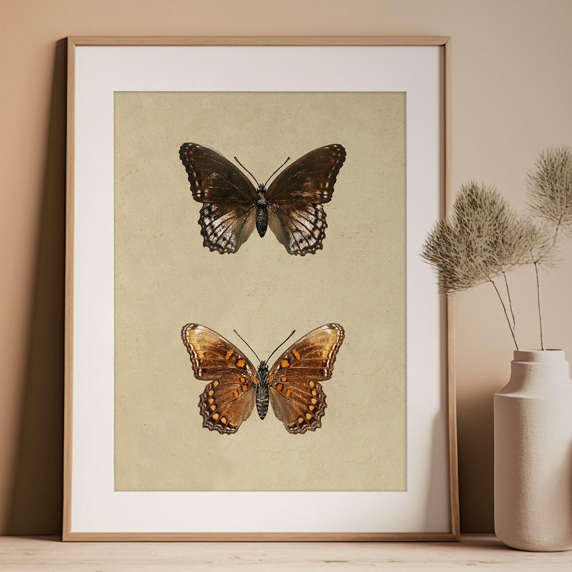 Vintage Butterfly and Moth Drawing, Farmhouse Art Print - Image 2