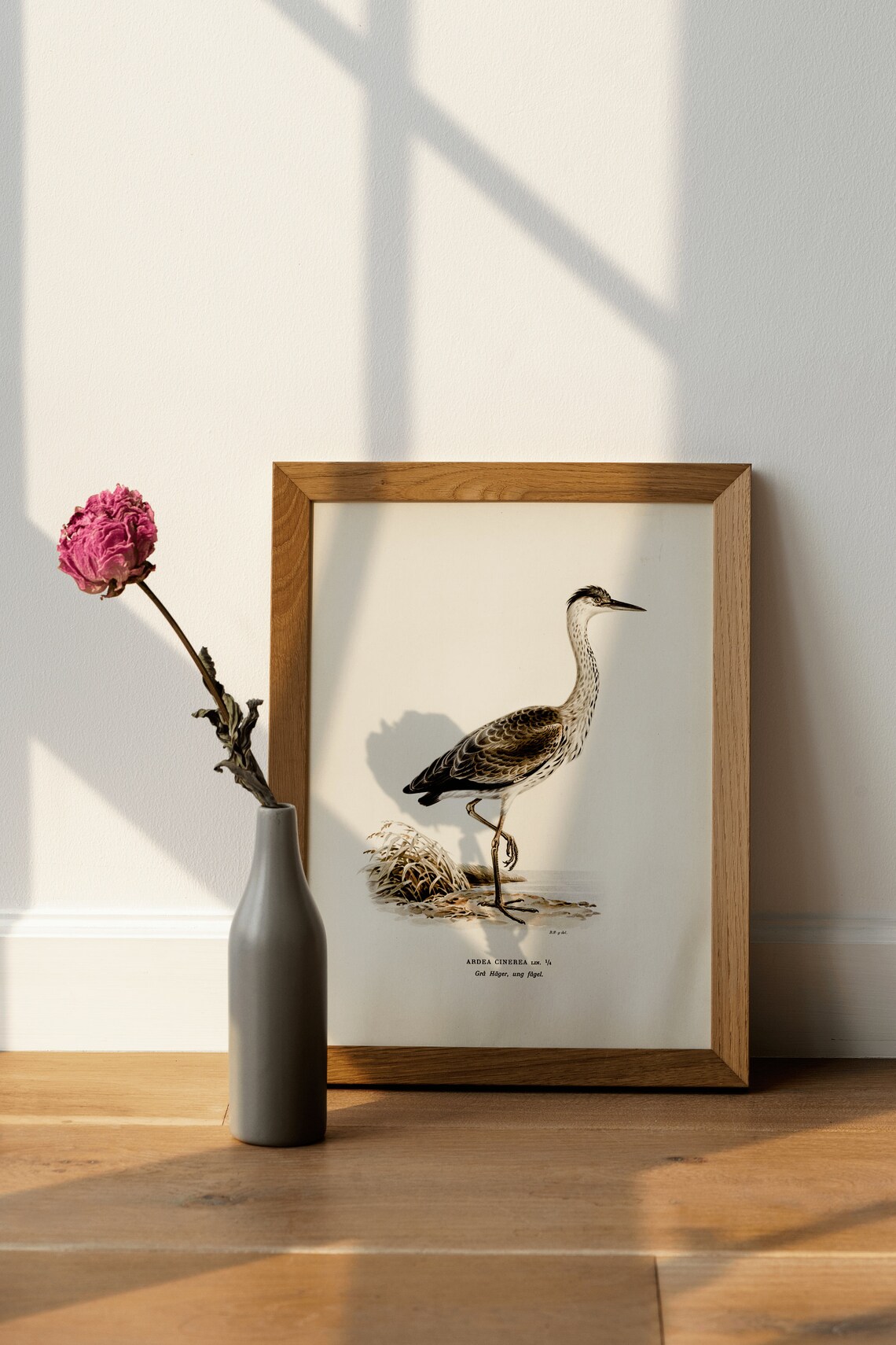 Grey Heron Bird Vintage Nature Art Print - Image 4