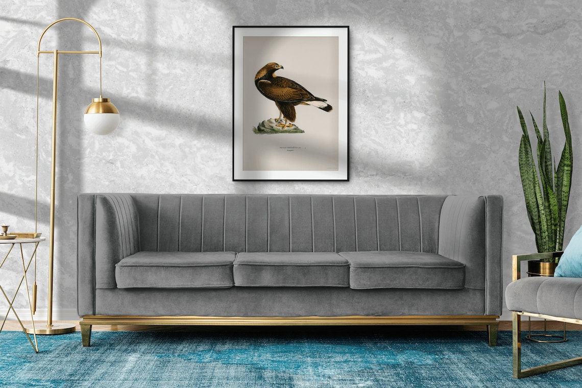 Golden Eagle Vintage Naturalist Bird Of Prey Illustration Poster - Image 2