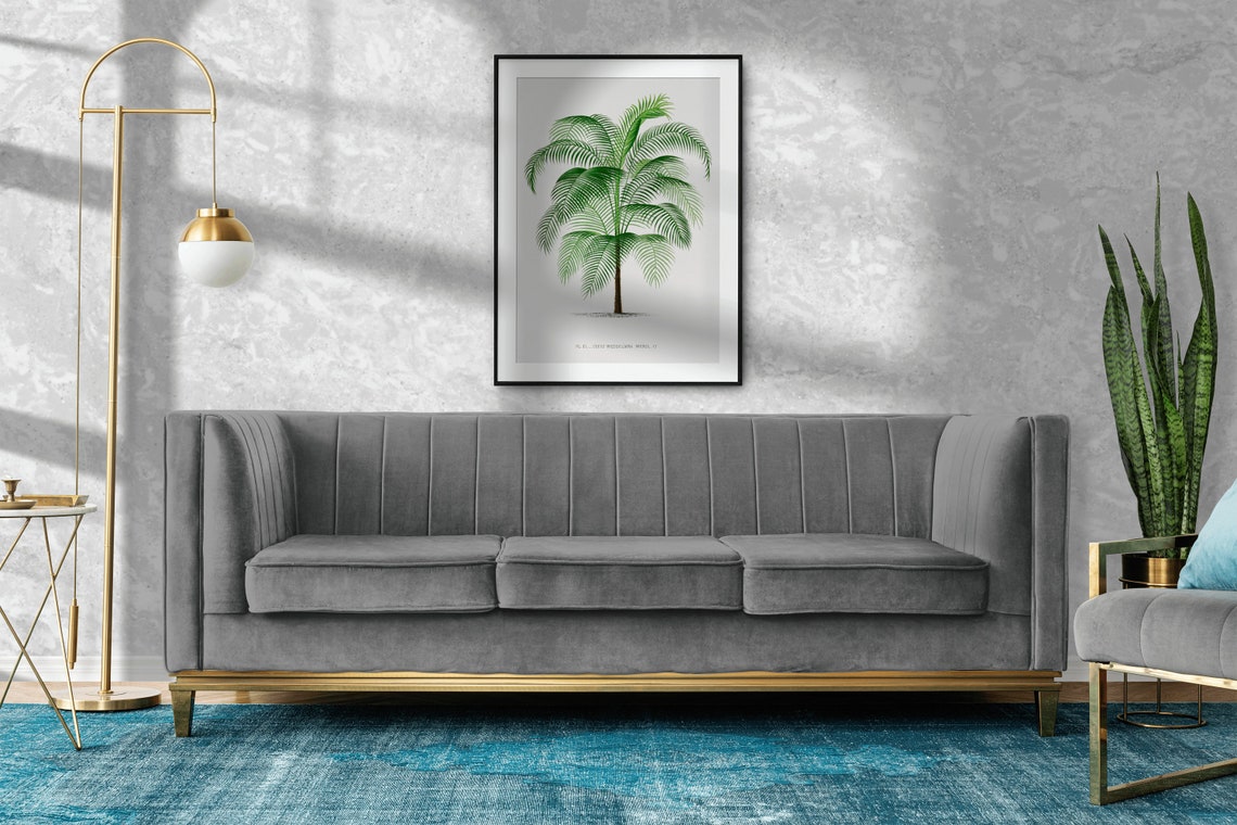 Vintage Palm Tree Botanical Illustration Cocos Weddeliana Art Print - Image 2