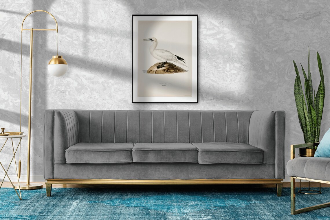 Northern Gannet Vintage Nature Bird Art Print Poster - Image 2