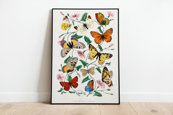 Vintage Butterfly Wall Art Illustration Print Poster A3 A4 A5 High Quality Classic Photo Gift Flowers Home Decor Giclee Art Deco