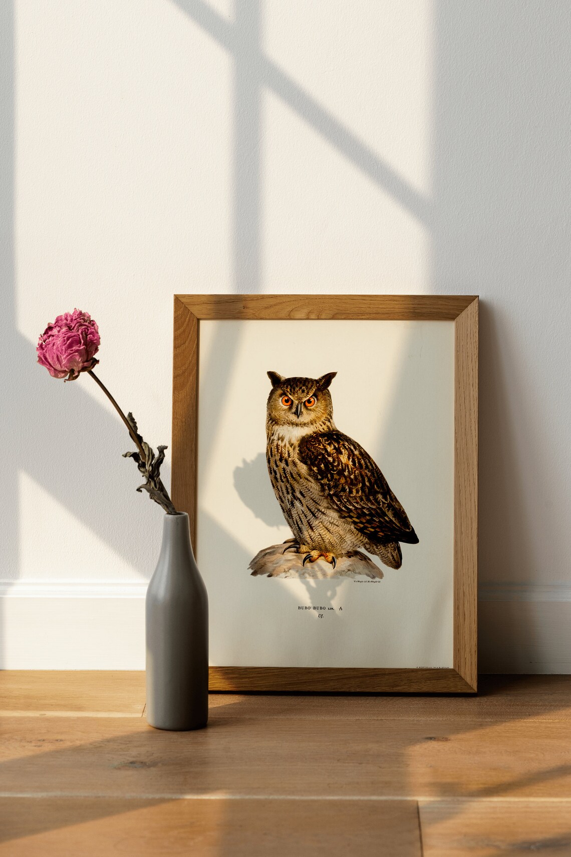Eurasian Eagle Owl Perched Vintage Naturalist Bird Of Prey Poster - Image 4