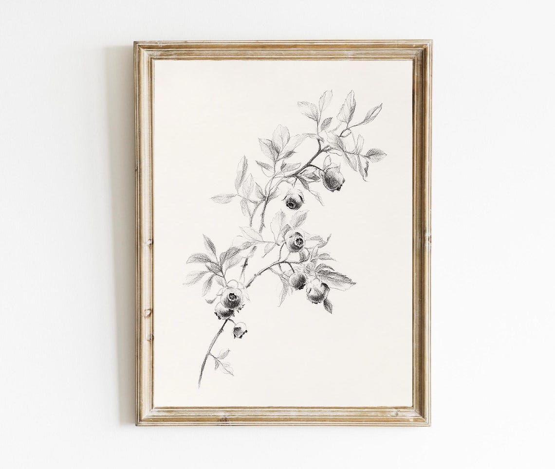 Blueberry Branch Graphite Sketch Rustic Botanical Drawing Poster