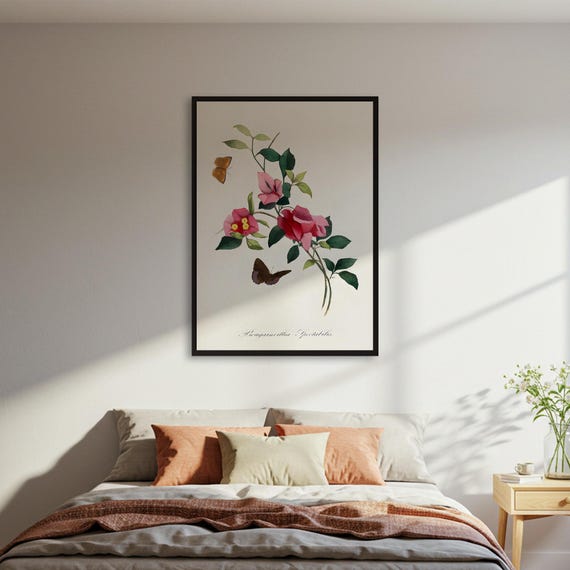 Bougainvillea And Butterflies Art Print Botanical Illustration Poster Vintage Floral Wall Nature Decor Framed Or Unframed
