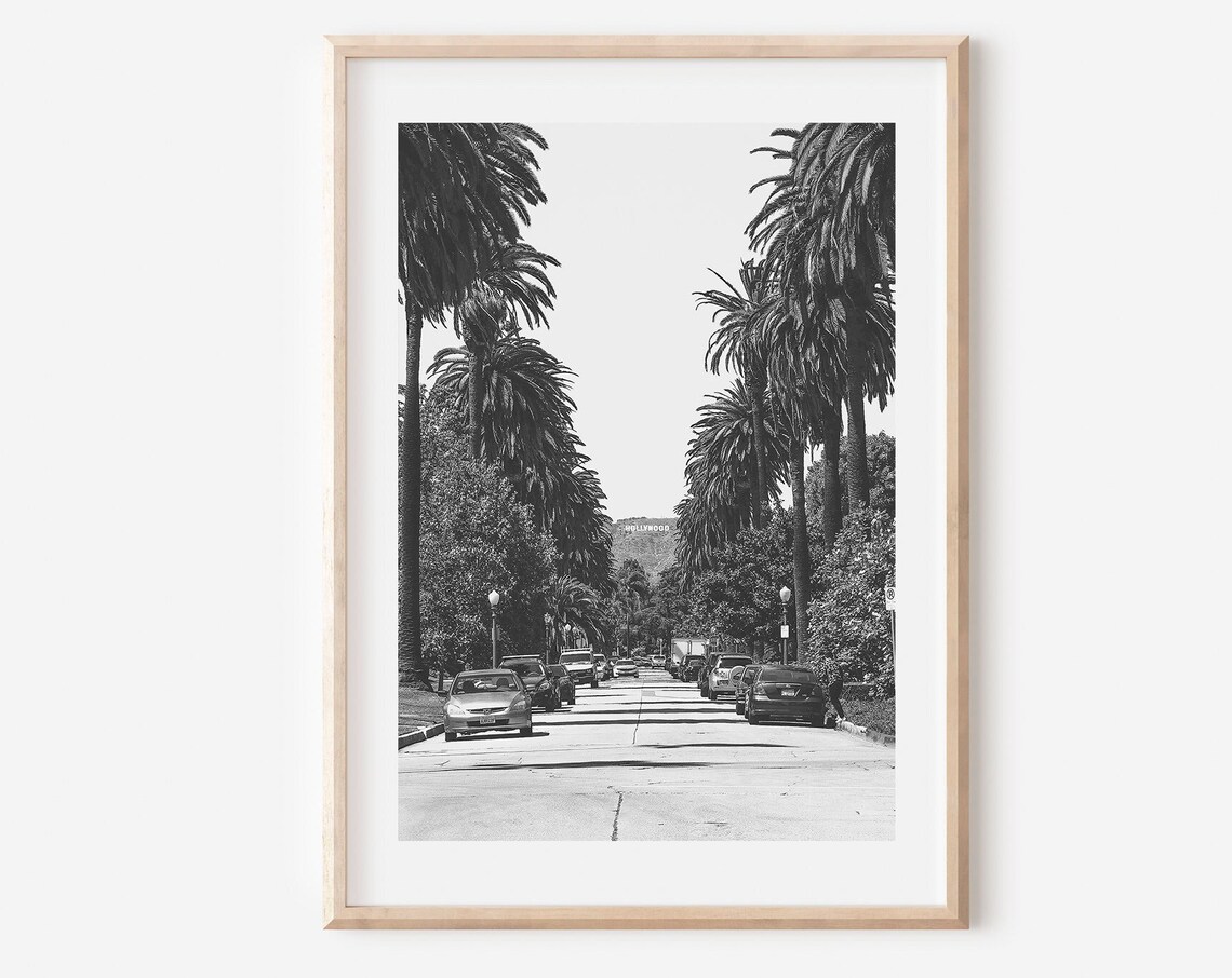 Los Angeles Palm Tree Street Hollywood Sign Black White Poster
