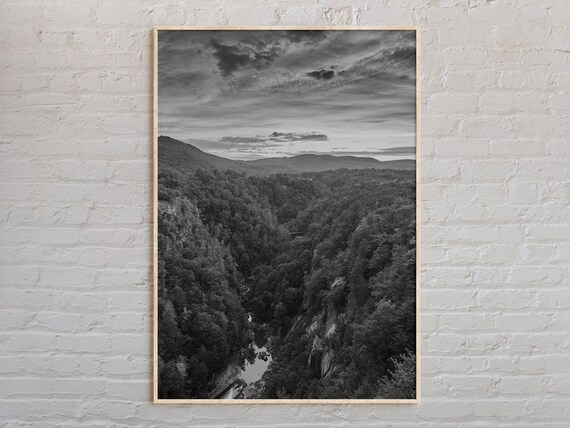 Dramatic Georgia Forest Gorge River Black And White Landscape Poster