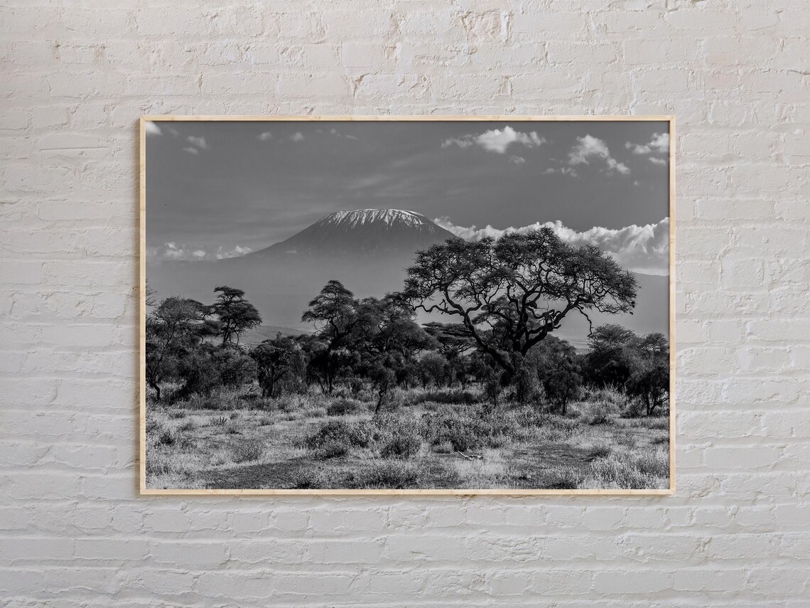 Mount Kilimanjaro Snow Capped Peak Black and White Safari Poster