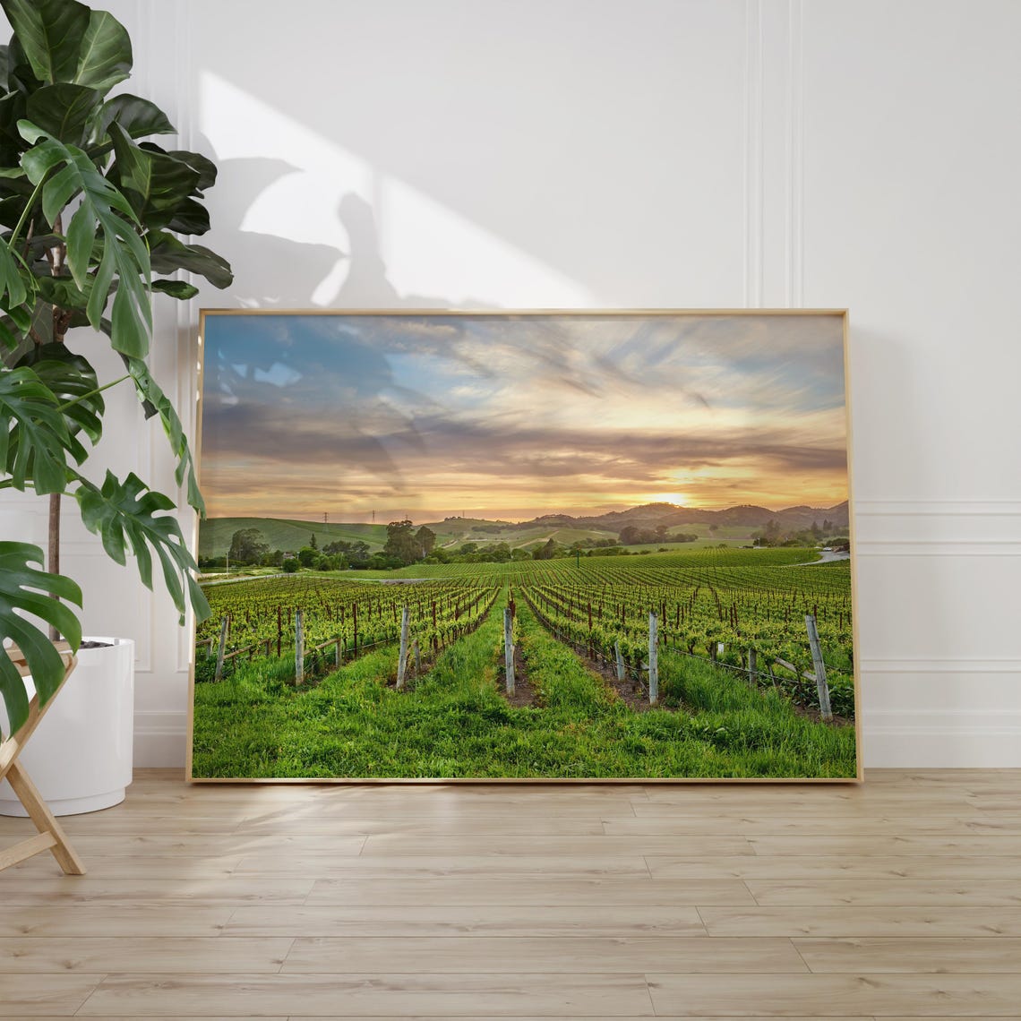 Napa Valley Vineyard Rows Golden Sunset Color Wine Country Poster - Image 2