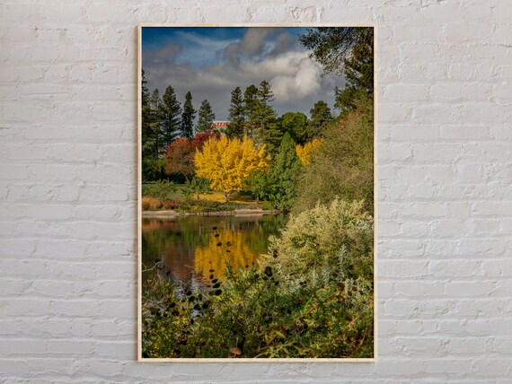 Autumn Lake Golden Trees Colorful Foliage Reflections Nature Photo Poster