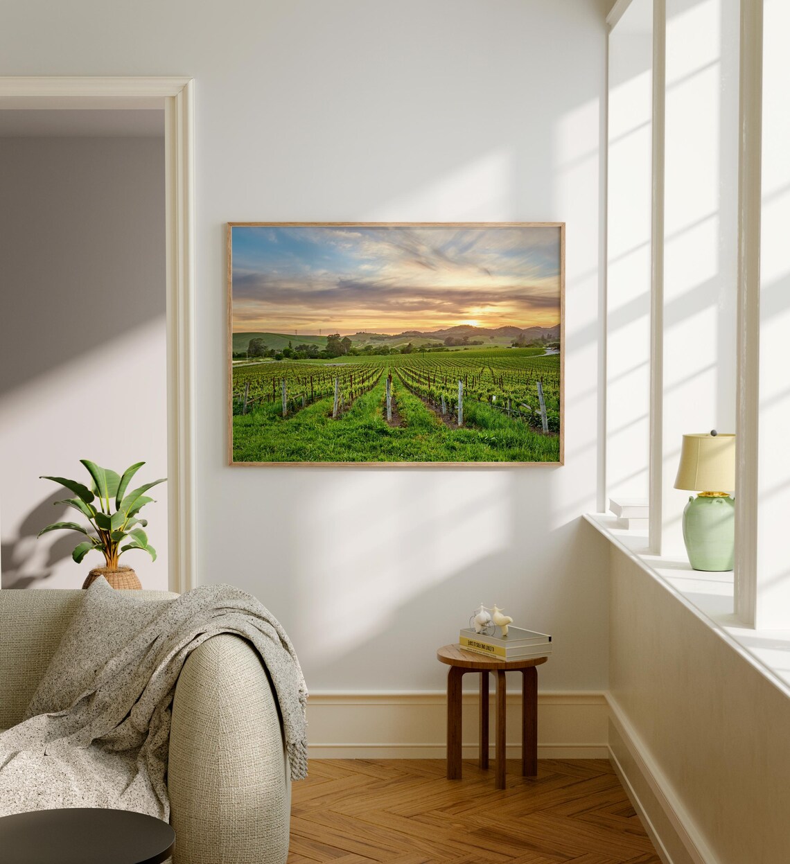 Napa Valley Vineyard Rows Golden Sunset Color Wine Country Poster - Image 5