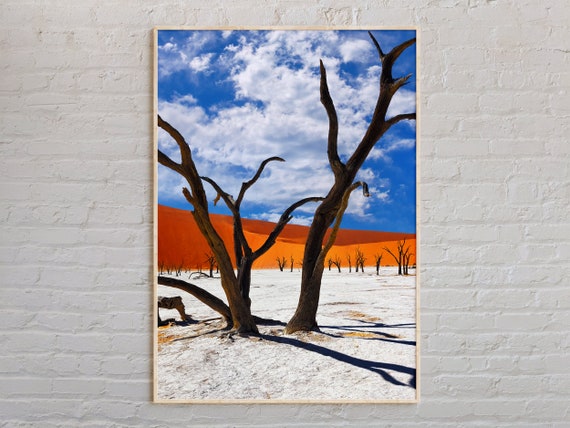 Real Photo Namibia Print Wall Art Poster Decor Africa