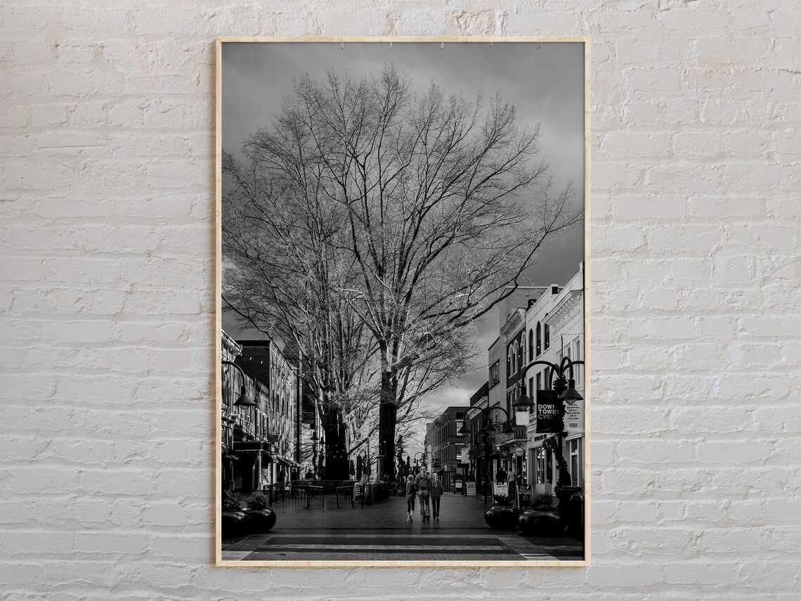 Black And White Bare Tree City Street Downtown Winter Photo Print