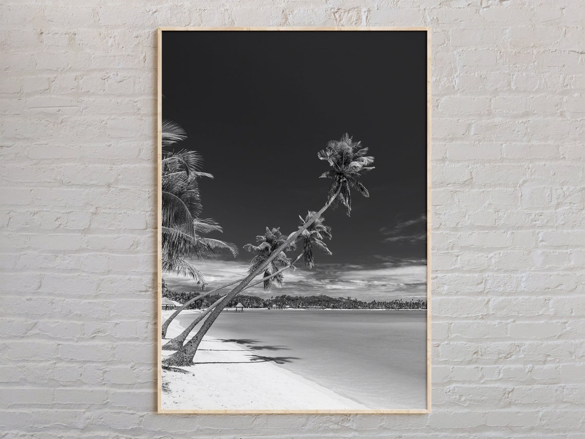 Black And White Leaning Palm Trees Tropical Beach Photo Poster