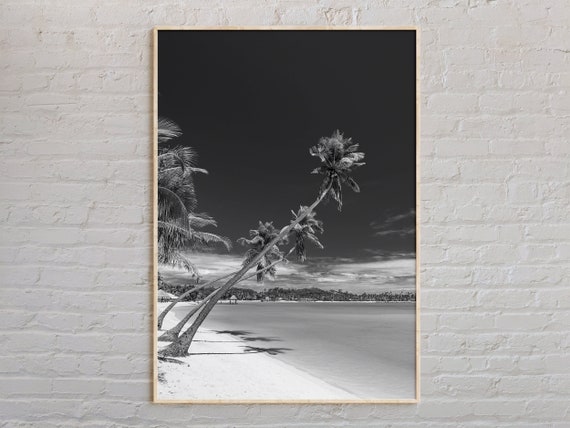 Black And White Fiji Print Wall Art Poster Photo Decor Oceania