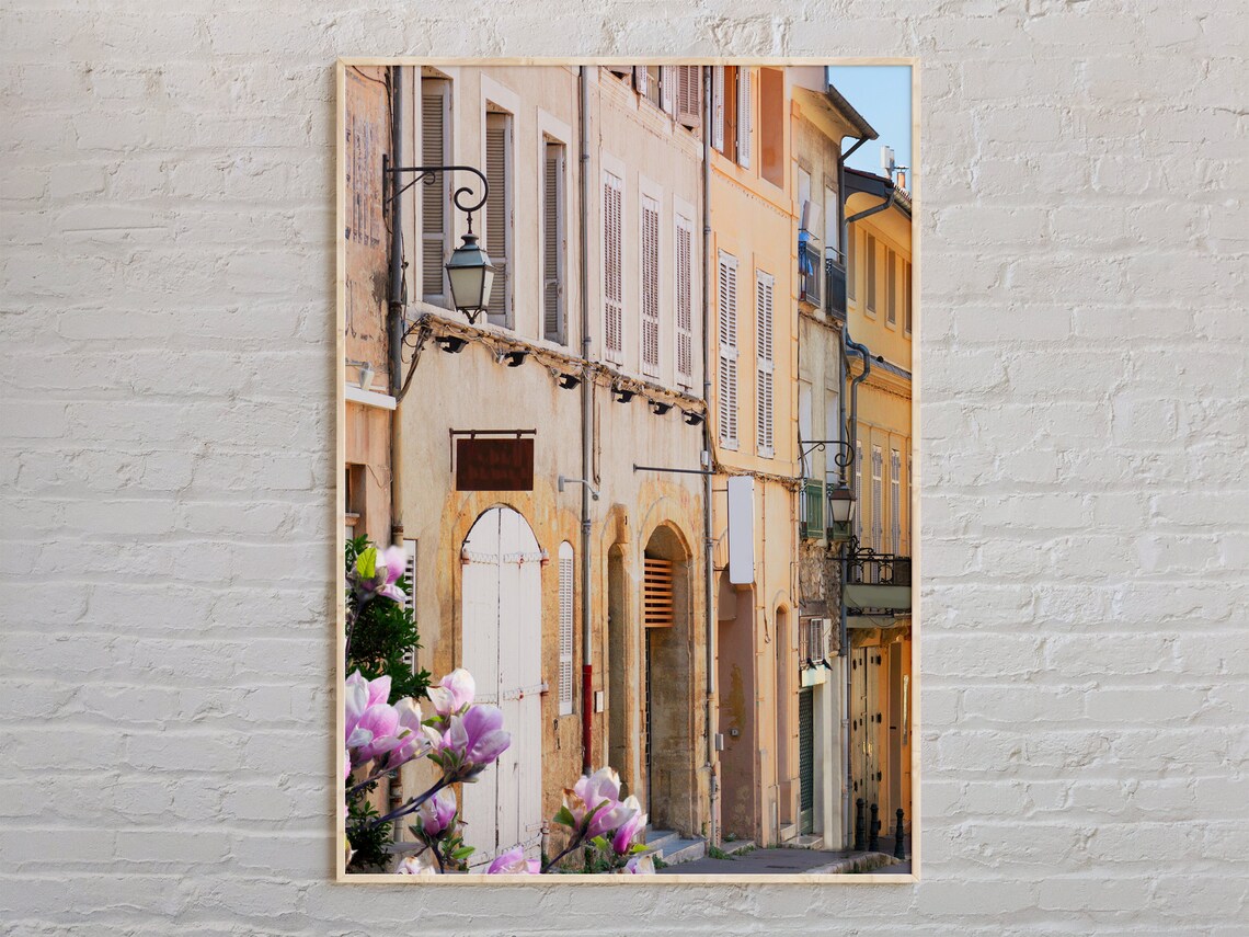 Aix-en-Provence Old Town Street Magnolia Spring Real Photo Wall Art