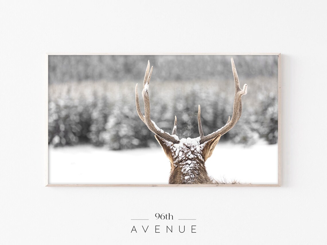 Winter Holiday Reindeer Christmas Art Print