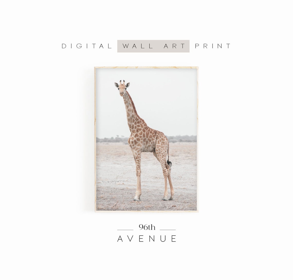 Giraffe Standing Pale Savanna Dusty Landscape Wildlife Print
