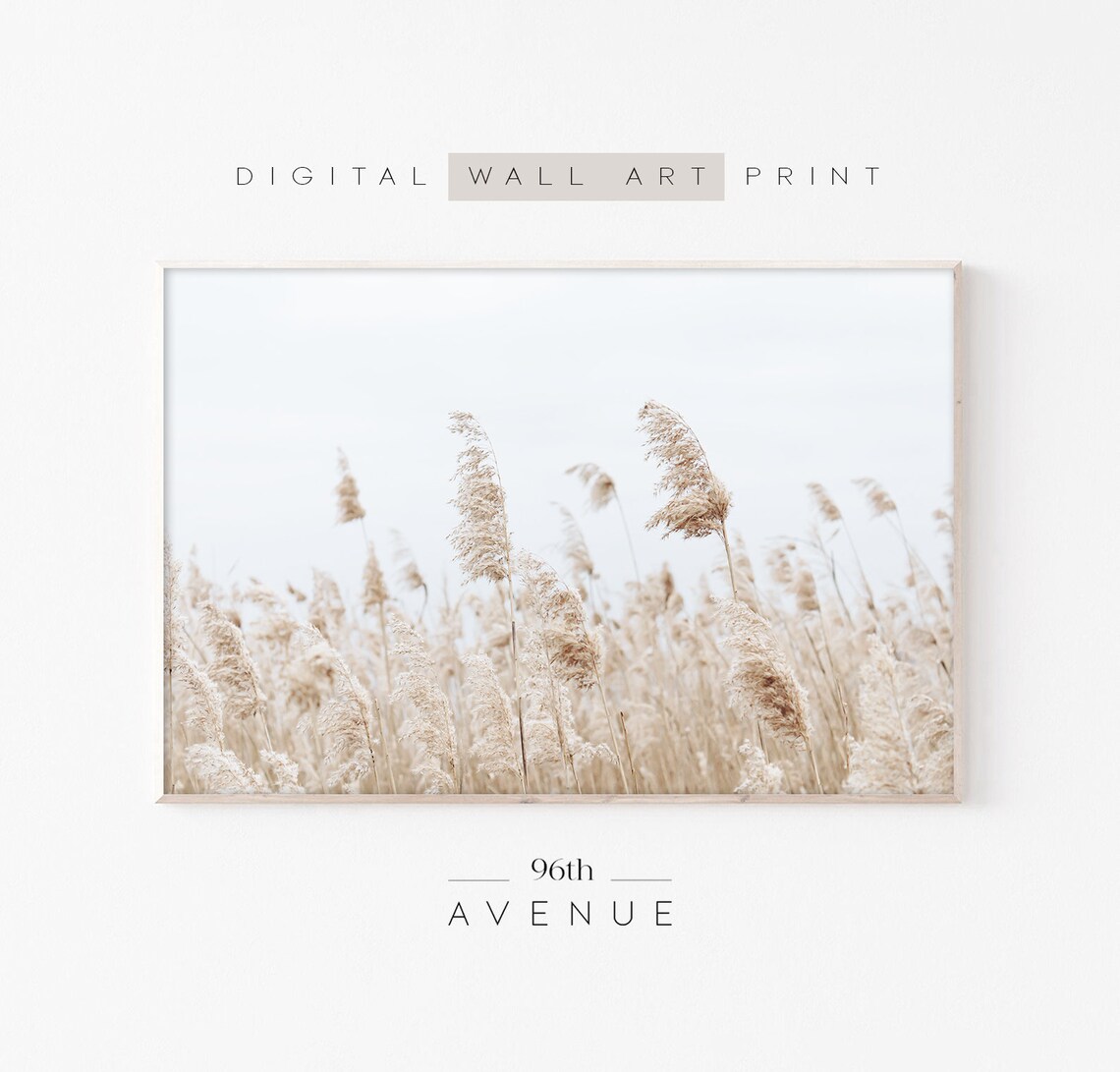 Grass Photography Farmhouse Decor Art Print