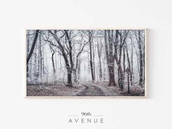 Frosty Bare Forest Snowy Winter Woodland Path Photography Wall Art