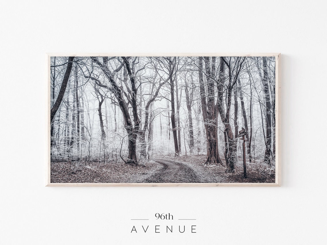 Frosty Bare Forest Snowy Winter Woodland Path Photography Wall Art